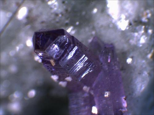 Quartz Var. Amethyst
Cava Capurru, Osilo Sassari, Sardegna, Italia
1cm x .5cm x .5cm (Author: Mark Ost)