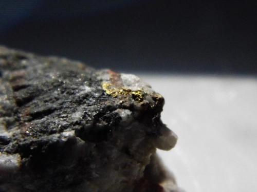 Gold and Quartz
Wright Hardgrave Mine, Kirkland Lake, Ontario, Canada
4cmx4cm (Author: derrick)