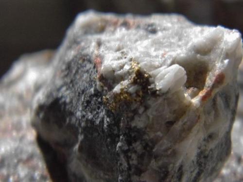 Gold and Quartz
Wright Hardgrave Mine, Kirkland Lake, Ontario, Canada
4cmx3cm (Author: derrick)