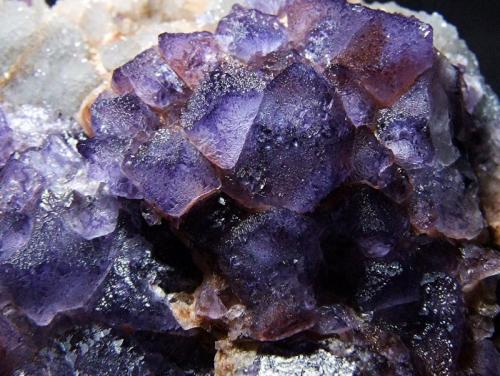 Fluorite 
El Hammam, Meknès, Meknès-Tafilalet Region, Morocco
FOV 20 x 25 mm (Author: nurbo)