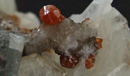 Mimetite (Var Campylite) on Baryte.
Dry Gill, Caldbeck Fells, Cumbria, England, UK.
Campylite to 4 mm (Author: nurbo)