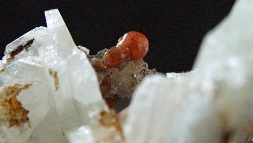 Mimetite (Var Campylite) on Baryte.
Dry Gill, Caldbeck Fells, Cumbria, England, UK.
Campylite to 4 mm (Author: nurbo)