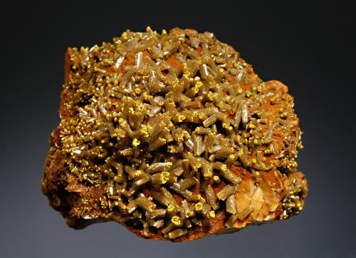 Pyromorphite
Les Farges Mine, Ussel, Corrèze, Limousin, France
5.6 x 7.0 cm
Olive-green, barrel-shaped pyromorphite crystals to 1.0 cm with mustard-yellow tips on iron stained white barite (Author: crosstimber)