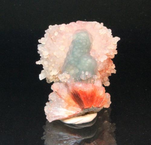 Chalcedony
Chandanapuri, Maharashtra, India
3.5 x 2.8 cm (Author: Don Lum)