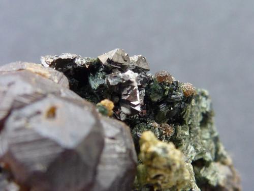 Granate, Anfíbol (variedad uralita), Magnetita, Calcita, Pirita<br />Milucha Mine, Palombatos, Burguillos del Cerro, Comarca Zafra-Río Bodión, Badajoz, Extremadura, Spain<br />4 x 3 cm.<br /> (Autor: javier ruiz martin)
