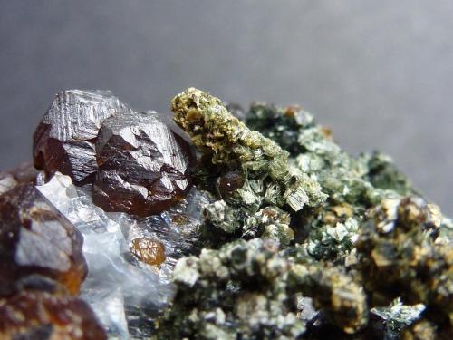 Granate, Anfíbol (variedad uralita), Magnetita, Calcita, Pirita<br />Milucha Mine, Palombatos, Burguillos del Cerro, Comarca Zafra-Río Bodión, Badajoz, Extremadura, Spain<br />4 x 3 cm.<br /> (Autor: javier ruiz martin)
