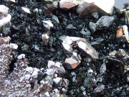 Löllingita, Ferro-actinolita, Diópsido, Magnetita<br />Monchi Mine, Sierra del Cordel, Burguillos del Cerro, Comarca Zafra-Río Bodión, Badajoz, Extremadura, Spain<br />6 x 3 cm. la zona de cristales<br /> (Autor: javier ruiz martin)