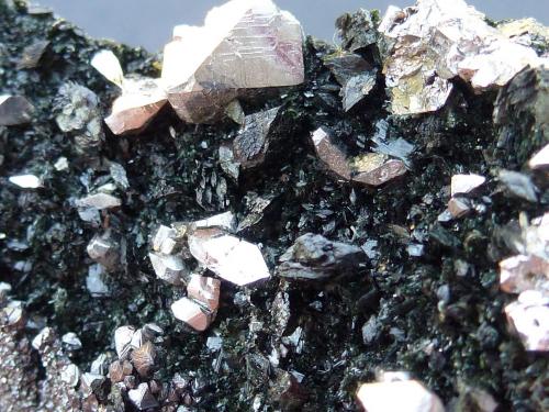 Lollingita, Ferro-actinolita, Diópsido, Magnetita<br />Monchi Mine, Sierra del Cordel, Burguillos del Cerro, Comarca Zafra-Río Bodión, Badajoz, Extremadura, Spain<br />6 x 3 cm. la zona de cristales<br /> (Autor: javier ruiz martin)