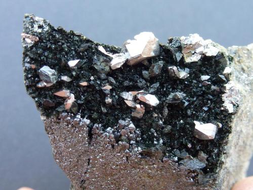 Löllingita, Ferro-actinolita, Diópsido, Magnetita<br />Mina Monchi, Sierra del Cordel, Burguillos del Cerro, Comarca Zafra-Río Bodión, Badajoz, Extremadura, España<br />6 x 3 cm. la zona de cristales<br /> (Autor: javier ruiz martin)