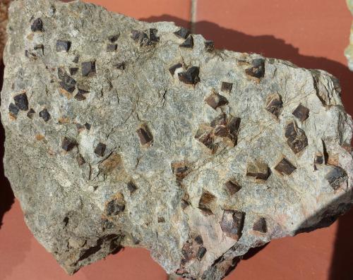 Goethita pseudo Pirita<br />Bruguers, Gavà, Comarca Baix Llobregat, Barcelona, Cataluña / Catalunya, España<br />15 x 10 cm<br /> (Autor: prudenci gatell)