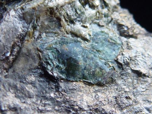 Tremolita, Magnetita y Clorita<br />La Herrería Mine, Burguillos del Cerro, Comarca Zafra-Río Bodión, Badajoz, Extremadura, Spain<br />6 x 4 cm<br /> (Autor: javier ruiz martin)