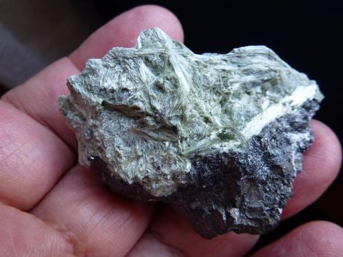 Tremolita, Magnetita y Clorita<br />La Herrería Mine, Burguillos del Cerro, Comarca Zafra-Río Bodión, Badajoz, Extremadura, Spain<br />6 x 4 cm<br /> (Autor: javier ruiz martin)