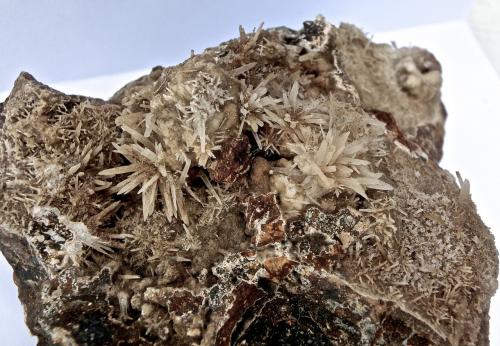 Aragonito.<br />Cantera de La Esfinge, Las Palmas de Gran Canaria, Gran Canaria, Provincia de Las Palmas, Canarias, España<br />Ancho de imagen 9 cm<br /> (Autor: María Jesús M.)