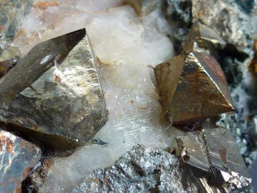 Pirita, Calcita, Tremolita, Magnetita, Actinolita, Clorita<br />La Herrería Mine, Burguillos del Cerro, Comarca Zafra-Río Bodión, Badajoz, Extremadura, Spain<br />6 x 6 cm.<br /> (Autor: javier ruiz martin)