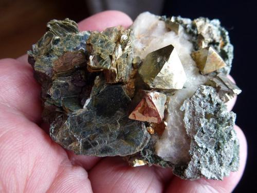 Pirita, Calcita, Tremolita, Magnetita, Actinolita, Clorita<br />La Herrería Mine, Burguillos del Cerro, Comarca Zafra-Río Bodión, Badajoz, Extremadura, Spain<br />6 x 6 cm.<br /> (Autor: javier ruiz martin)