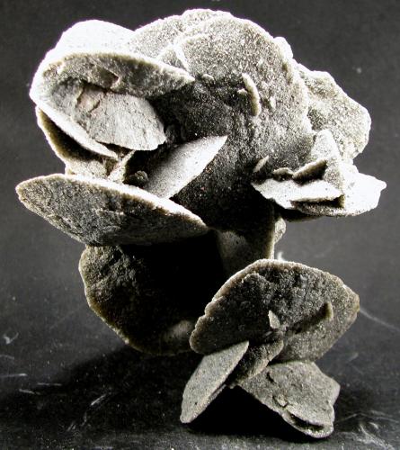 Yeso<br />Bahía de Paracas, Distrito Paracas, Provincia Pisco, Departamento Ica, Perú<br />80 x 56 x 32 mm.<br /> (Autor: José Luis Zamora)