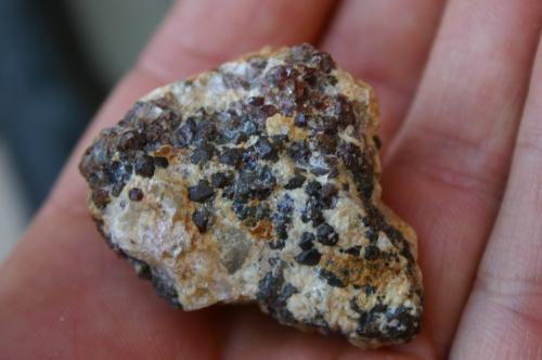 Almandino (grupo Granate)<br />Santa Marina Mine, Monte Galiñeiro, Vincios, Gondomar, Comarca Vigo, Pontevedra, Galicia / Galiza, Spain<br />37mm - 35mm - 28mm<br /> (Autor: Pedro Naranjo)