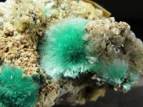 Auricalcita y hemimorfita<br />Mina 79, Chilito, Zona Hayden, Distrito Banner, Montes Dripping Spring, Condado Gila, Arizona, USA<br />3 x 2 x 3 cm.<br /> (Autor: Felipe Abolafia)