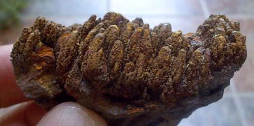 Limonita<br />Mines Can Palomeres, Malgrat de Mar, Comarca Maresme, Barcelona, Cataluña / Catalunya, España<br />5 x 3 cm<br /> (Autor: Cristalino)