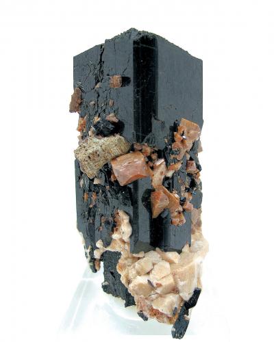Aegirina, zircón, ortoclasa, parisita-(Ce)<br />Mount Malosa, Zomba District, Malawi<br />82 mm x 66 mm. Cristal principal: 82 mm de altura<br /> (Autor: Carles Millan)