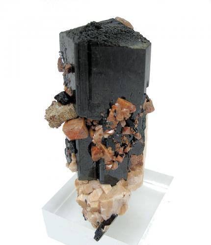 Aegirina, zircón, ortoclasa, parisita-(Ce)<br />Mount Malosa, Zomba District, Malawi<br />82 mm x 66 mm. Cristal principal: 82 mm de altura<br /> (Autor: Carles Millan)