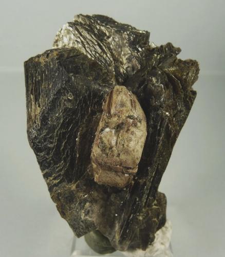 Monacita sobre Mica.<br />Vegusdal, Birkenes, Aust-Agder, Noruega<br />60x40 mm<br /> (Autor: Jesus Franquesa Baucells)
