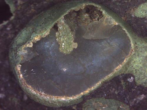 Calcita y Clinoptilolita-Ca<br />Barranco de Tocodoman, La Aldea de San Nicolás, Gran Canaria, Provincia de Las Palmas, Canarias, España<br />7 cm. (detalle)<br /> (Autor: Jose Bello)