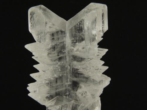 Yeso (variedad selenita)<br />Tres Hermanos Mine, Municipio Ocampo, Coahuila (Coahuila de Zaragoza), Mexico<br />11.5 x 4.8 x 2.9 centimetros<br /> (Autor: Ricardo Melendez)