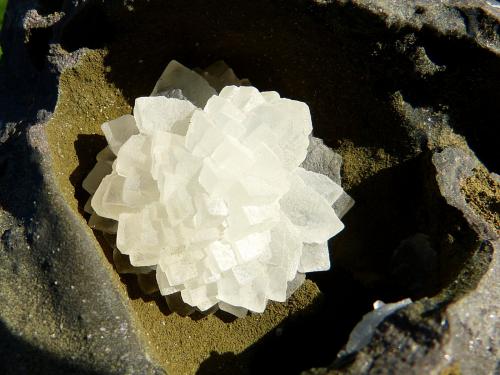 Calcita<br />Niu Corbu Quarry, Noragugume, Nuoro Province, Sardinia/Sardegna, Italy<br />9 x 7 cm<br /> (Autor: nerofis2)