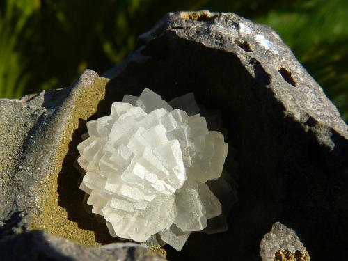 Calcita<br />Niu Corbu Quarry, Noragugume, Nuoro Province, Sardinia/Sardegna, Italy<br />9 x 7 cm<br /> (Autor: nerofis2)