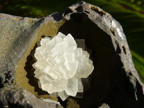 Calcita<br />Niu Corbu Quarry, Noragugume, Nuoro Province, Sardinia/Sardegna, Italy<br />9 x 7 cm<br /> (Autor: nerofis2)
