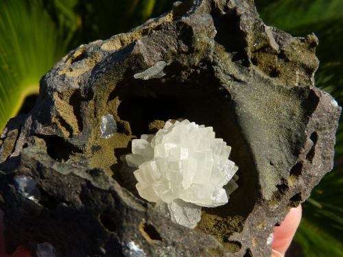 Calcita<br />Niu Corbu Quarry, Noragugume, Nuoro Province, Sardinia/Sardegna, Italy<br />9 x 7 cm<br /> (Autor: nerofis2)