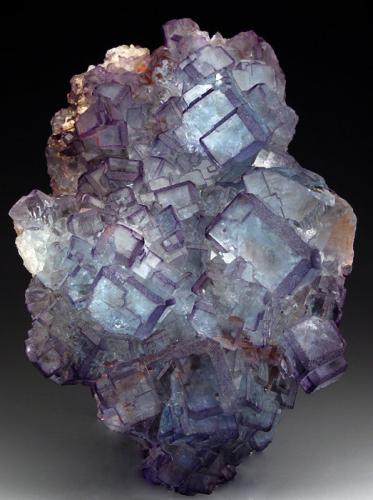 Fluorita<br />Filón Josefa-Veneros, nivel 75, Coroña de Arriba-La Collada, zona minera de La Collada, Siero, Comarca Oviedo, Principado de Asturias (Asturias), España<br />14x10cm, cristales hasta 3cm<br /> (Autor: Raul Vancouver)