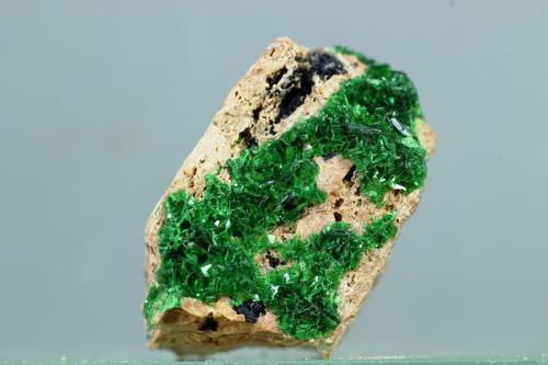 Torbernita<br />Musonoi Mine, Kolwezi, Kolwezi District, Lualaba, Katanga Copper Crescent, Katanga (Shaba), Democratic Republic of the Congo (Zaire)<br />25x24 mm<br /> (Autor: Juan Espino)