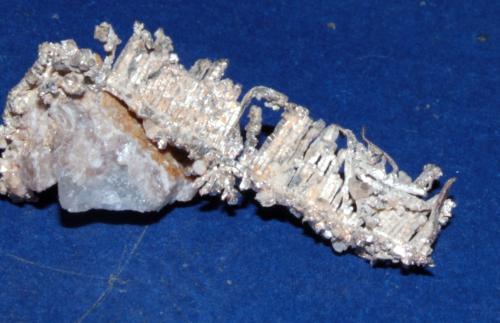 Plata Nativa<br />San Genaro Mine, Castrovirreyna District, Castrovirreyna Province, Huancavelica Department, Peru<br />3 x 1.5 cm<br /> (Autor: Cosme Perez)
