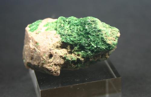 Torbernita<br />Musonoi Mine, Kolwezi, Kolwezi District, Lualaba, Katanga Copper Crescent, Katanga (Shaba), Democratic Republic of the Congo (Zaire)<br />40mm - 23mm - 25mm<br /> (Autor: Pedro Naranjo)