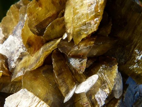 Siderita<br />Morro Velho Mine, Nova Lima, Belo Horizonte, Minas Gerais, Brazil<br />10x9 cm<br /> (Autor: nerofis2)
