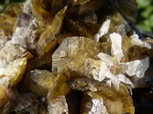 Siderita<br />Morro Velho Mine, Nova Lima, Belo Horizonte, Minas Gerais, Brazil<br />10x9 cm<br /> (Autor: nerofis2)