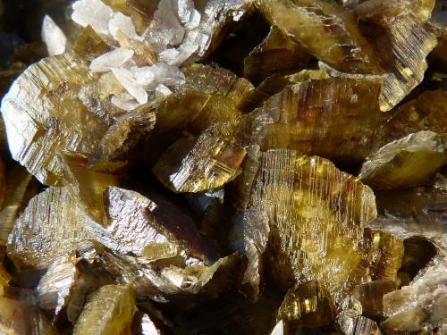 Siderita<br />Morro Velho Mine, Nova Lima, Belo Horizonte, Minas Gerais, Brazil<br />10x9 cm<br /> (Autor: nerofis2)