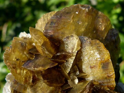 Siderita<br />Morro Velho Mine, Nova Lima, Belo Horizonte, Minas Gerais, Brazil<br />10x9 cm<br /> (Autor: nerofis2)