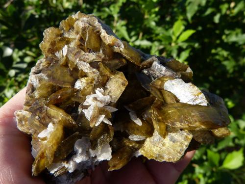 Siderita<br />Morro Velho Mine, Nova Lima, Belo Horizonte, Minas Gerais, Brazil<br />10x9 cm<br /> (Autor: nerofis2)