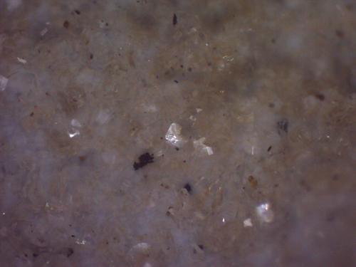 Clinoptilolita, Pirolusita<br />Barranco de Tocodoman, La Aldea de San Nicolás, Gran Canaria, Provincia de Las Palmas, Canarias, España<br />5 x 5 cm. (detalle)<br /> (Autor: Jose Bello)