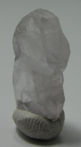 Fluorapatito<br />Floitengrund, Valle Ziller (Zillertal), Tirol Norte, Tirol, Austria<br />18 mm. altura x 5 mm. grosor<br /> (Autor: prcantos)