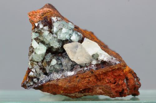 Adamita<br />Ojuela Mine, Mapimí, Municipio Mapimí, Durango, Mexico<br />35x30 mm<br /> (Autor: Juan Espino)