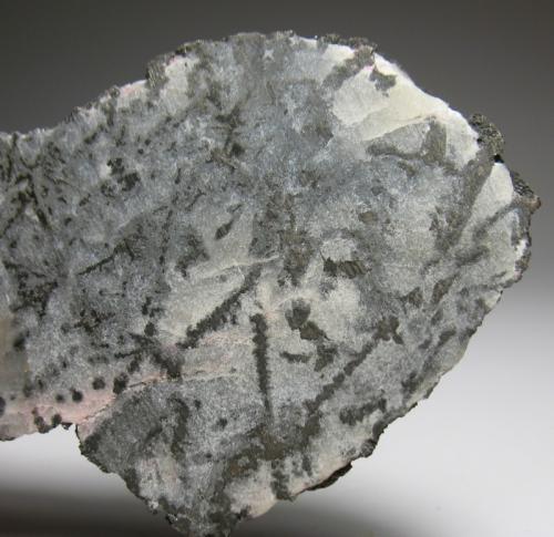 Plata<br />Zona Cobalt, Región Cobalt-Gowganda, Distrito Timiskaming, Ontario, Canadá<br />9,5 x 4,5 x 1 cm<br /> (Autor: Antonio Alcaide)