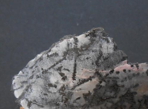 Plata<br />Zona Cobalt, Región Cobalt-Gowganda, Distrito Timiskaming, Ontario, Canadá<br />9,5 x 4,5 x 1 cm<br /> (Autor: Antonio Alcaide)