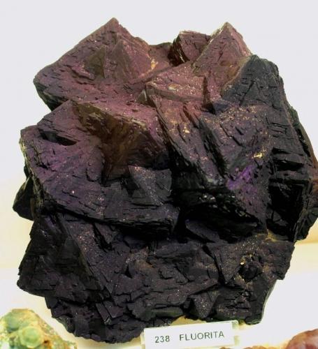 Fluorita.<br />Akchatau, Shet, Región Karaganda, Kazajstán<br />140x120 mm.<br /> (Autor: Jesus Franquesa Baucells)