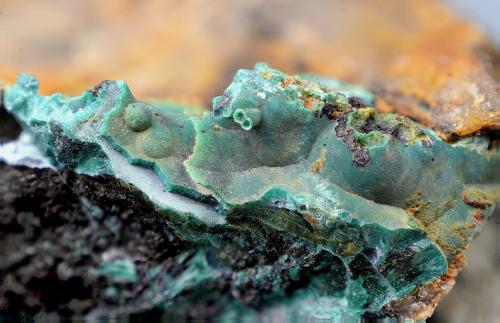 Pseudomalaquita<br />La Virgen Mine, Andújar, Comarca de la Campiña, Jaén, Andalusia, Spain<br />Campo de visión de 10 mm.<br /> (Autor: Antonio Carmona)