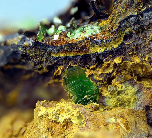 Torbernita<br />La Virgen Mine, Andújar, Comarca de la Campiña, Jaén, Andalusia, Spain<br />Campo de visión de 2 mm.<br /> (Autor: Antonio Carmona)