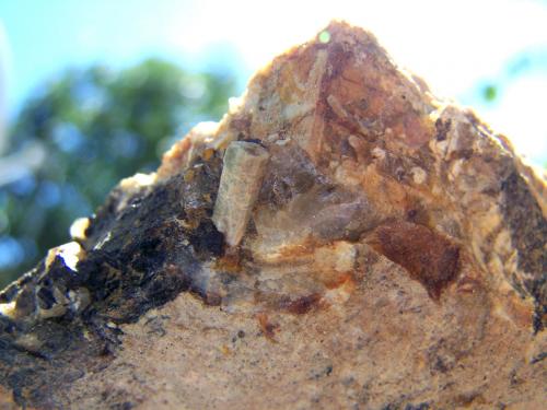 Berilo<br />La Alameda de Gardón, Comarca Campo de Argañán, Salamanca, Castile and León, Spain<br />1cm<br /> (Autor: canada)
